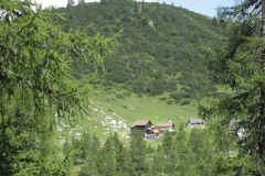 August-20009-Liezen-WB-082