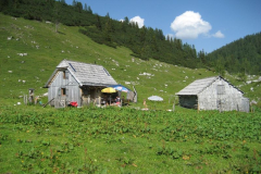 August-20009-Liezen-WB-100