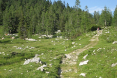 August-20009-Liezen-WB-124