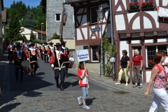 TSGEppstein150_Festumzug_hin_005