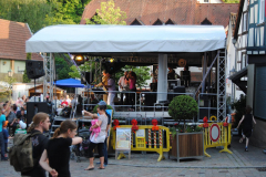 TSGEppstein150_Mixed_TR_006