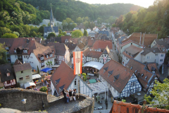 TSGEppstein150_Mixed_TR_018