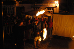 TSGEppstein150_Mixed_TR_049