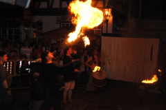 TSGEppstein150_Mixed_TR_051