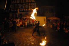 TSGEppstein150_Mixed_TR_053