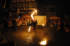 TSGEppstein150_Mixed_TR_054