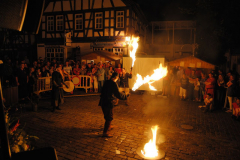 TSGEppstein150_Mixed_TR_055