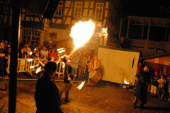 TSGEppstein150_Mixed_TR_058