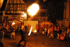 TSGEppstein150_Mixed_TR_059