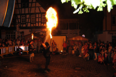 TSGEppstein150_Mixed_TR_061