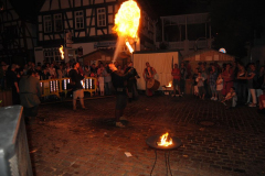 TSGEppstein150_Mixed_TR_062