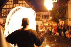 TSGEppstein150_Mixed_TR_068