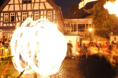 TSGEppstein150_Mixed_TR_071