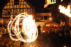 TSGEppstein150_Mixed_TR_072