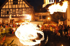 TSGEppstein150_Mixed_TR_073