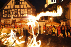 TSGEppstein150_Mixed_TR_074