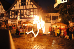 TSGEppstein150_Mixed_TR_075