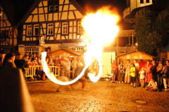 TSGEppstein150_Mixed_TR_076