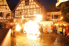 TSGEppstein150_Mixed_TR_077