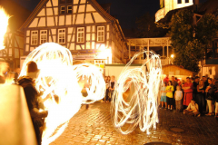 TSGEppstein150_Mixed_TR_081