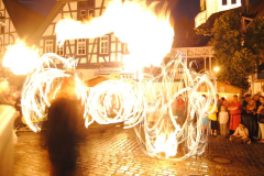 TSGEppstein150_Mixed_TR_082