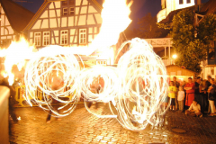 TSGEppstein150_Mixed_TR_083