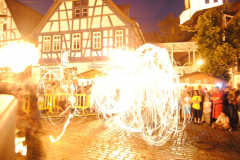 TSGEppstein150_Mixed_TR_084