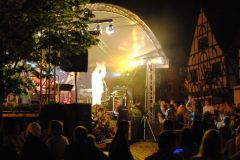 TSGEppstein150_Mixed_TR_091